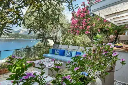 Beyaz Yunus - Adult Only - 63