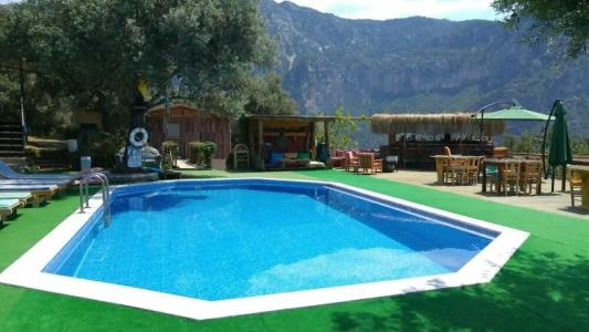 Shiva Camp - 0