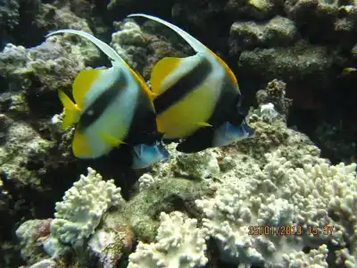 Sharming Inns - Couples and Families Only - 39