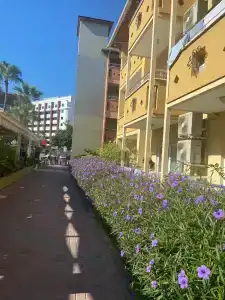 Lonicera World - Ultra All Inclusive - 84