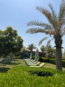 Hyatt Centric Jumeirah - 44