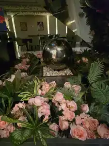 Clarion Golden Horn - 27