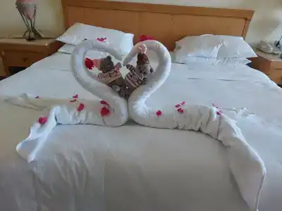 Safir Sharm Waterfalls Resort - 9