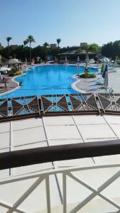 Ivy Cyrene Sharm Resort Adults Friendly Plus 13 - 62