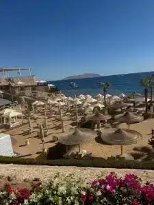 Royal Savoy Sharm El Sheikh - 77
