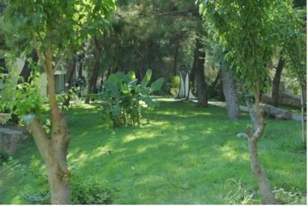 Greenland - All Inclusive - 52