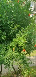 Washington Resort & Spa - 40