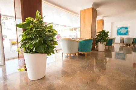 Amic Miraflores - 11