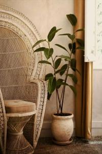 Shila Athens - 23