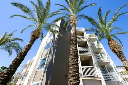 Paloma Perissia - 72