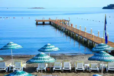 Cactus Fleur Beach - 5