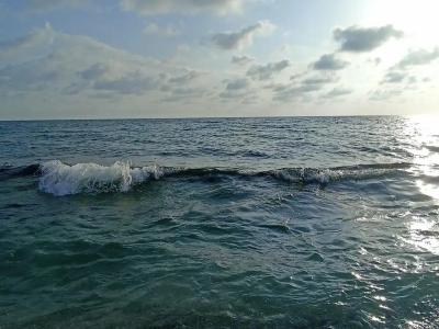 Kaila Krizantem - 28