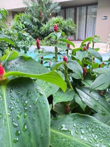 Metadee Concept - SHA Plus - 49