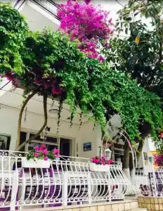 Agan Pension