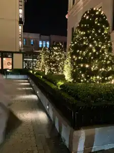 Four Seasons Istanbul at Sultanahmet - 27