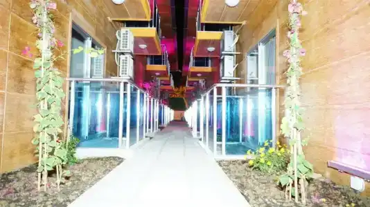 Arsi Enfi City Beach - 35