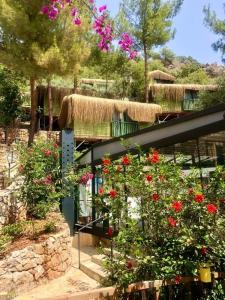 Symbola Oludeniz Beach - 61