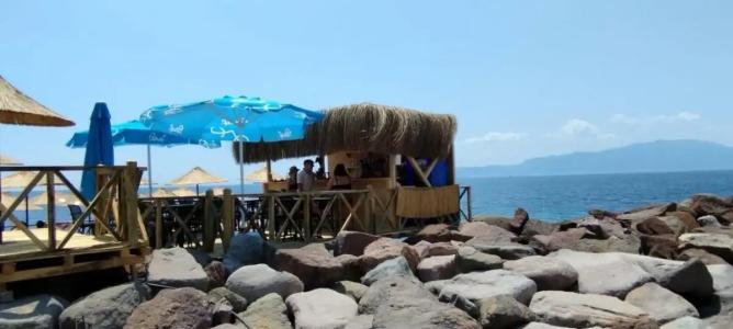 Assos Behram Special Class Adult Only 12 - 42