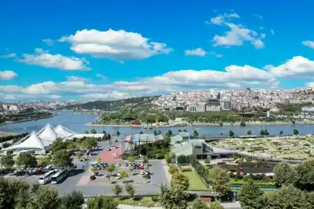 Clarion Golden Horn - 71