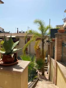 Villa Scotillo Guest House - 46