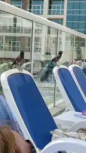 Radisson Resort Ras Al Khaimah Marjan Island - 70