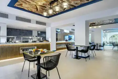 Vibra Palma Cactus - 61