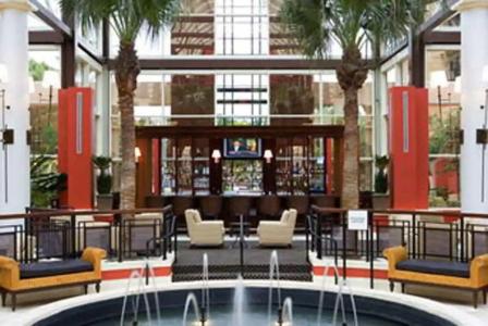 Sheraton Orlando North - 14