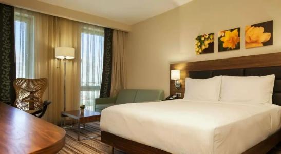 Hilton Garden Inn Erzincan - 85