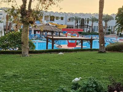 Sharm Bride Resort Aqua & SPA - 78