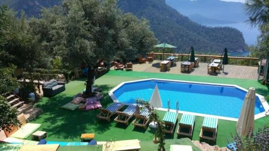 Shiva Camp - 33