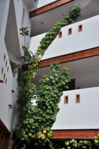 ApartPuerto Mar - 62