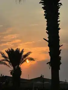 Euphoria Palm Beach Resort - 81