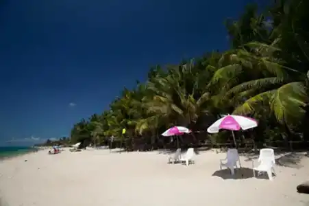 Coconut Beach Resort - 18