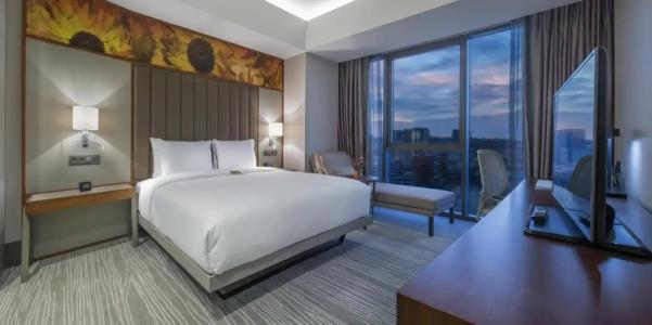 Hilton Garden Inn Istanbul Airport - 35