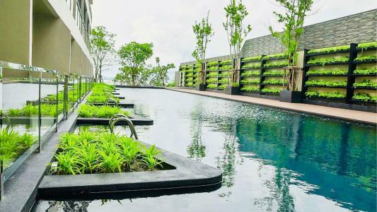 Golden Tulip Pattaya Beach Resort - 2