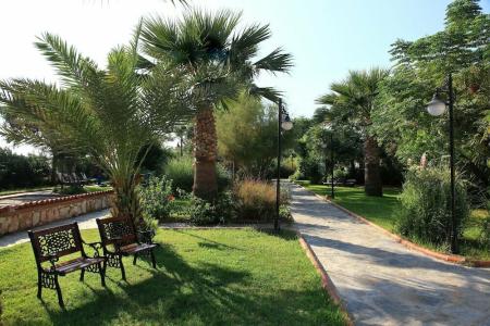 Club Cactus Paradise - 12