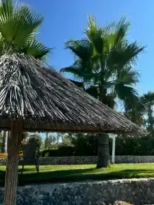 Flora Garden BEACH - Couples Concept - Adults over 16 Only - 99