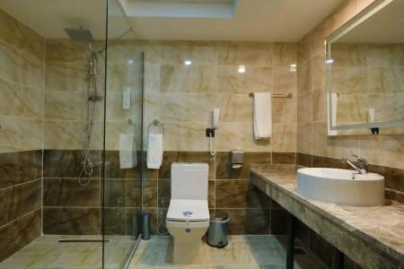 Karpalas City & Spa - 80