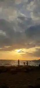 Saritas ONLY FAMILY CONCEPT - 93