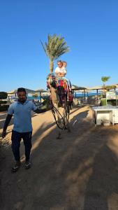Sea Star Beau Rivage - 46