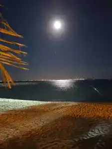 Al Bahar & Resort - 31