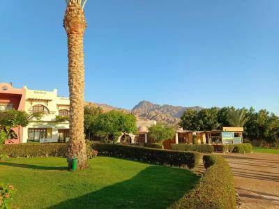 Tropitel Dahab Oasis - 57