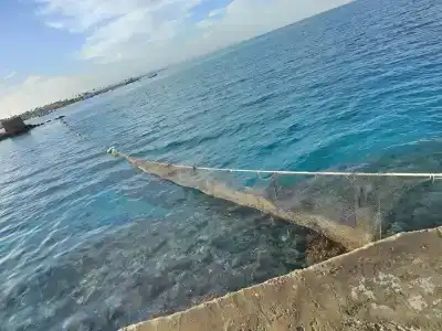 Empire Beach Resort - 53