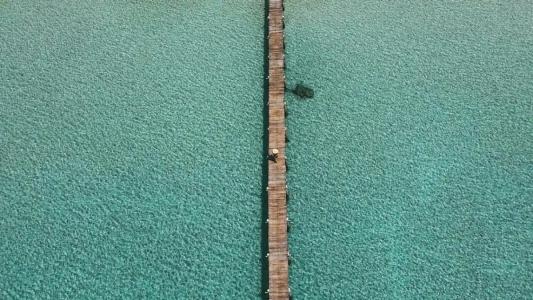 Koh Kood Resort - 60