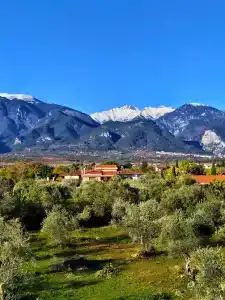 Litohoro Olympus Resort Villas & Spa - 6