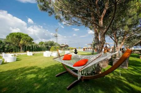 Assos Barbarossa - Special Category - 29