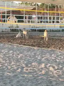 Selectum Family Resort Side - 85