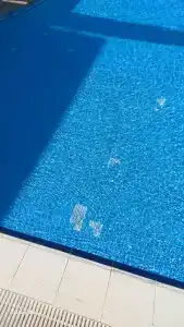 Transatlantik & Spa - 80