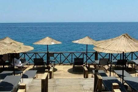 Assos Behram Special Class Adult Only 12 - 50