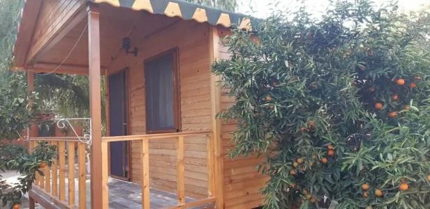 Secret Garden & Bungalows - 9